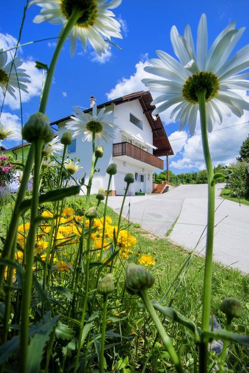 Apartment Bastaja Слуни Экстерьер фото
